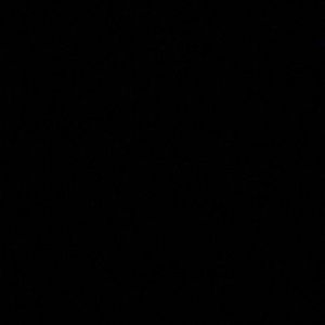 Meet your Posher, Ava